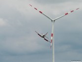 Foto zum Beitrag