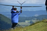 Foto zum Beitrag