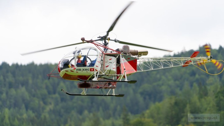 Foto zum Beitrag