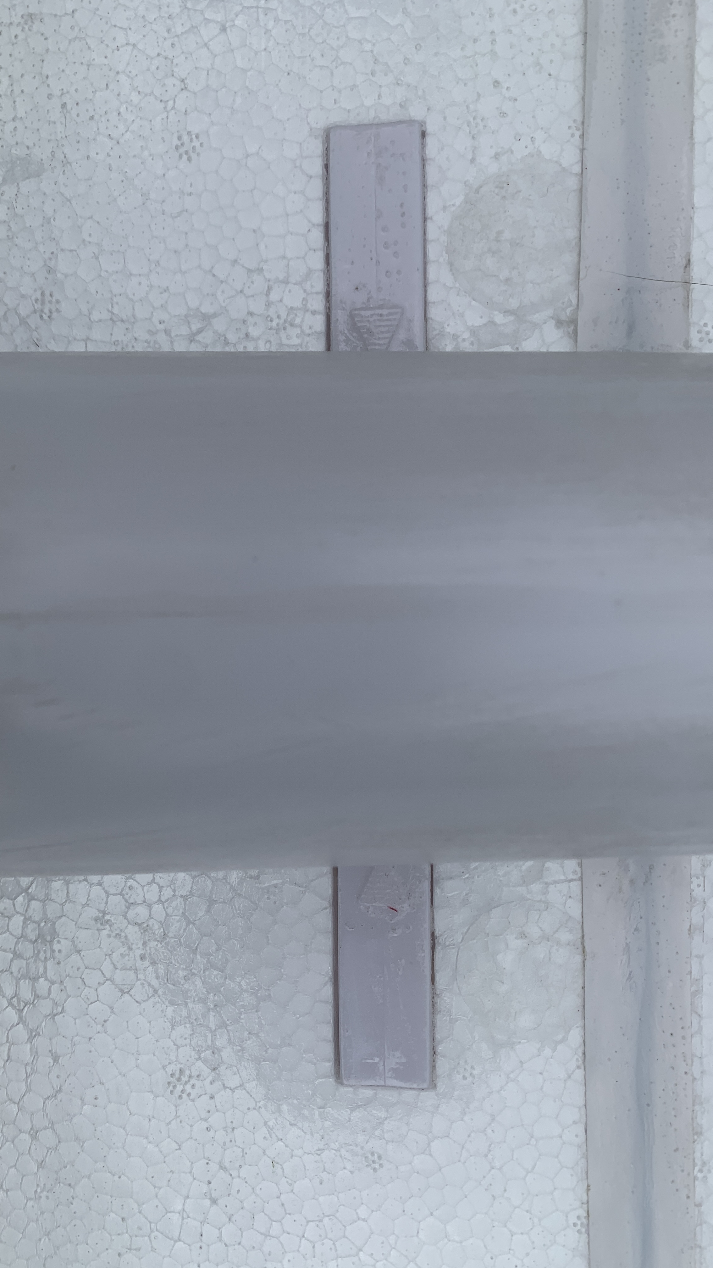 Inserat-Foto-7