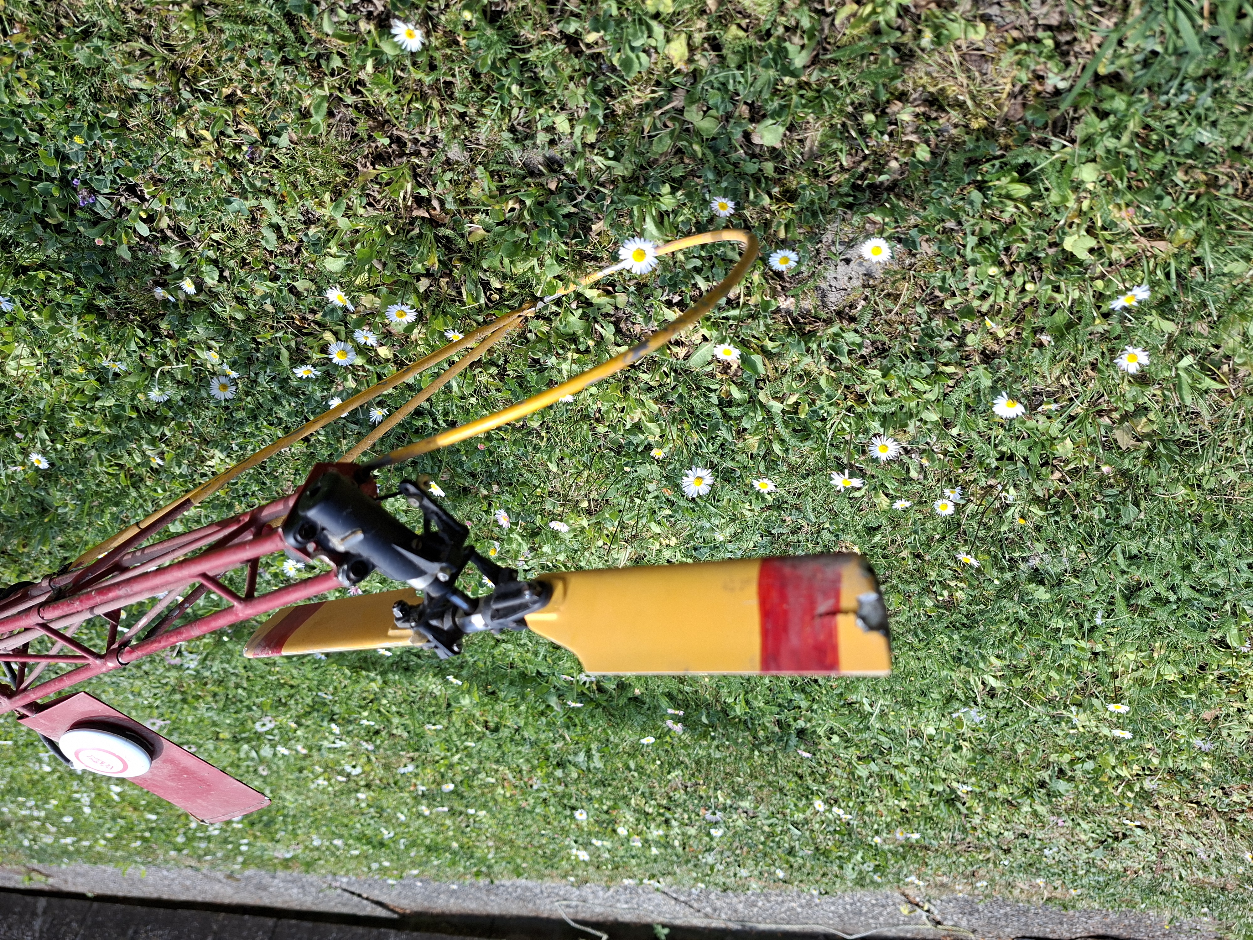 Inserat-Foto-3