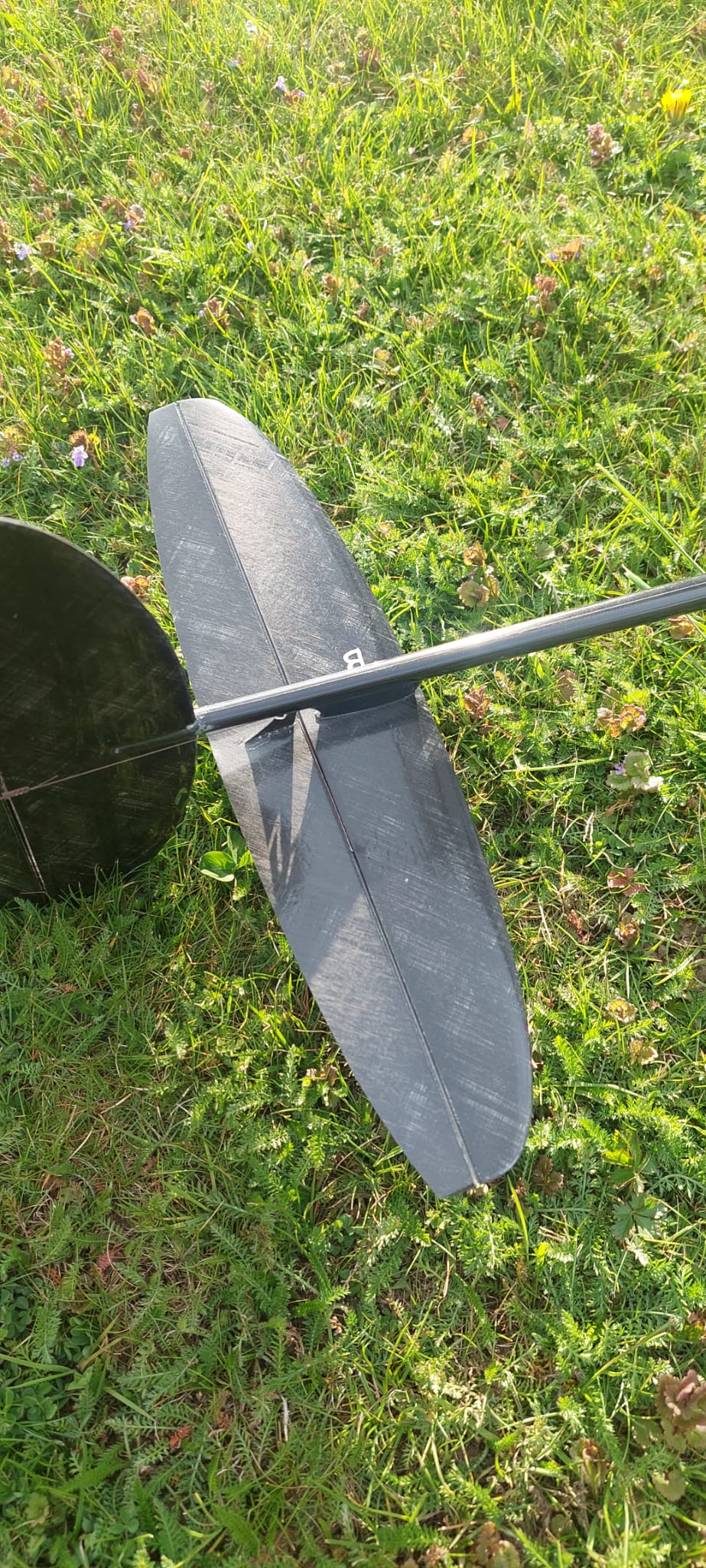 Inserat-Foto-2