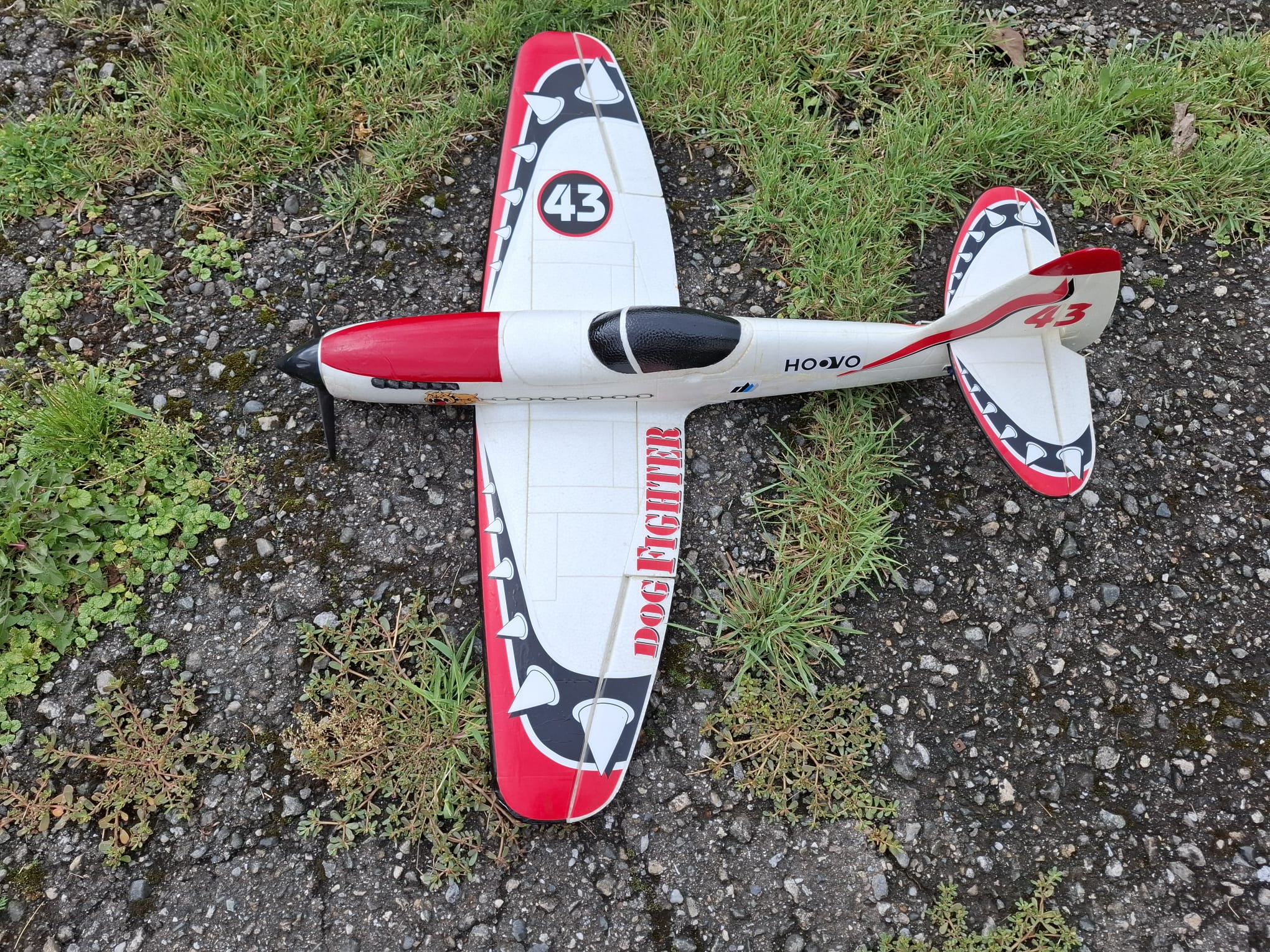 Inserat-Foto-1