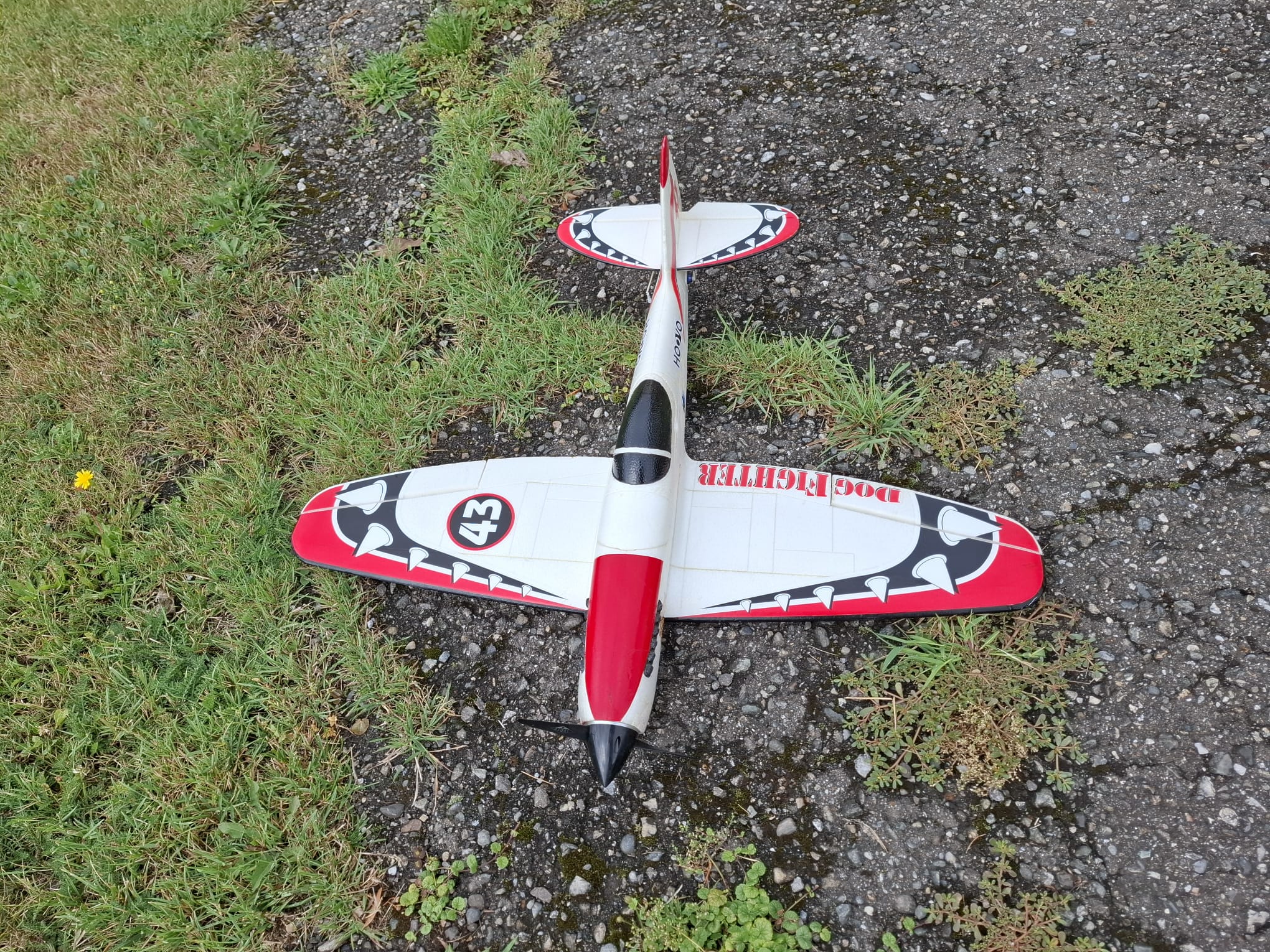Inserat-Foto-2