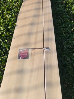 Inserat-Foto-3